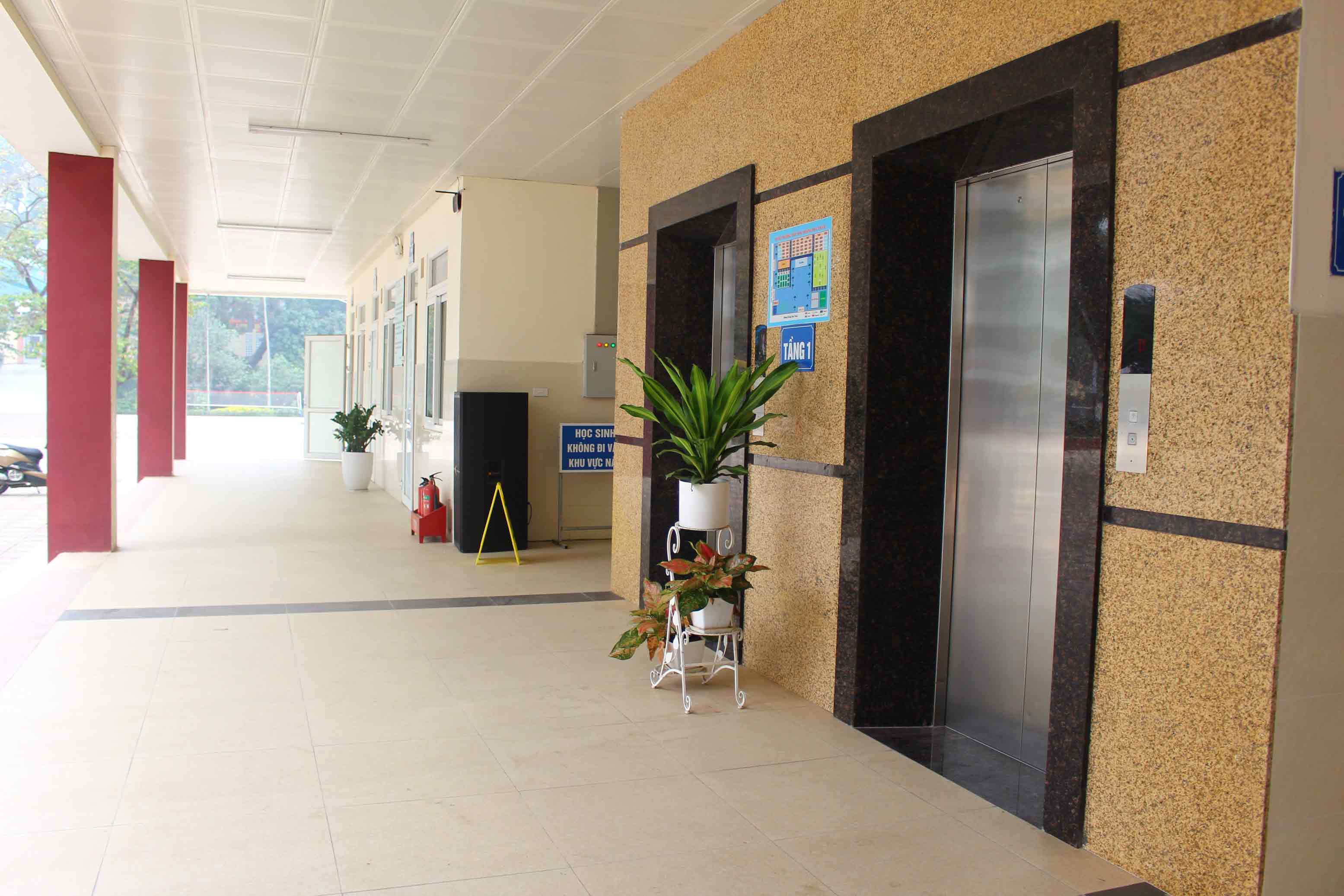 tieu hoc hoang hoa tham (11)