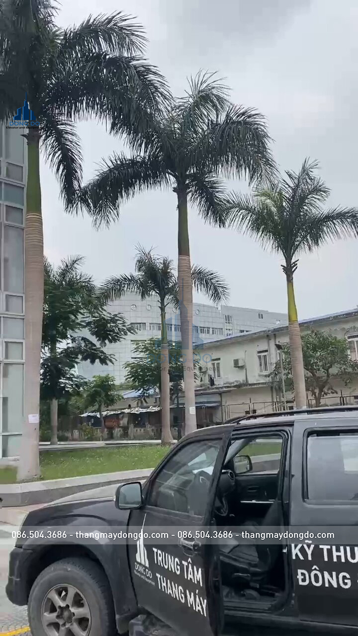 8982814412170692812_003