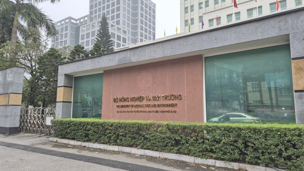 du-an-cung-cap-thang-may-tai-so-nnmthanoi